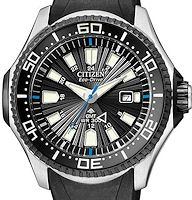 Citizen Watches BJ7065-06E