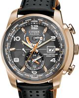 Citizen Watches AT9013-03H
