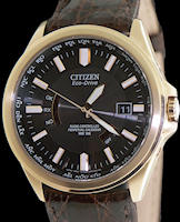 Citizen Watches CB0013-12E