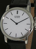Citizen Watches AR1060-09A