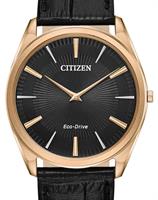 Citizen Watches AR3073-06E