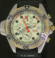 Pre-Owned CITIZEN DIVER`S 200M
