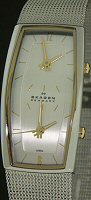 Skagen Watches 281SSGSC