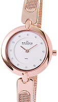 Skagen Watches 354SRR
