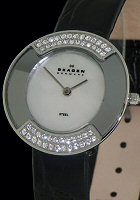 Skagen Watches 669SSLB4