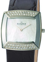 Skagen Watches 670SSLB4