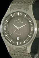 Skagen Watches 342XLTTM