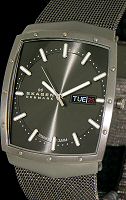 Skagen Watches 396LTTM