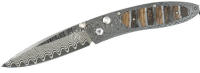 William Henry B05 - DMTW