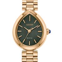 Citizen Watches EM1203-57X