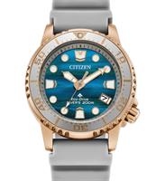 Citizen Watches EO2023-00W